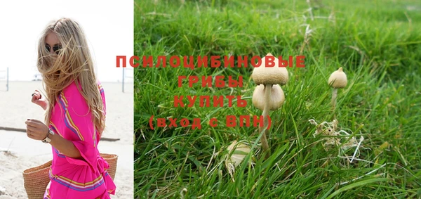 каннабис Майский