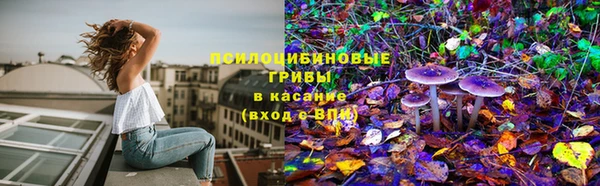 каннабис Майский
