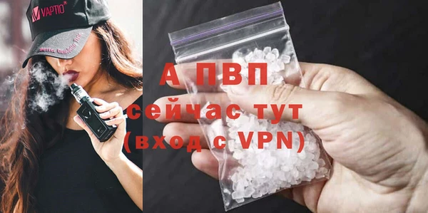 стафф Чегем
