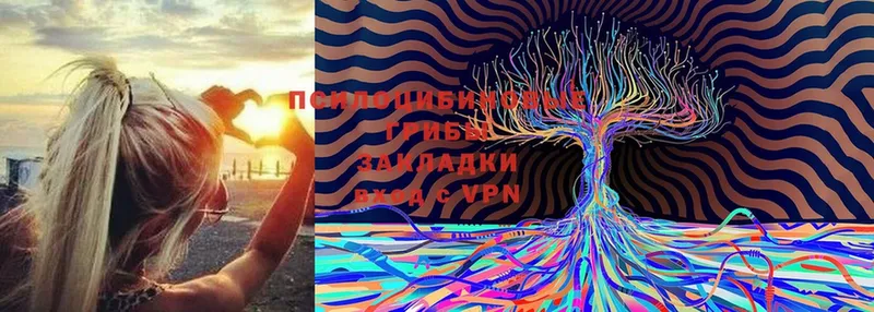 наркошоп  Уфа  Псилоцибиновые грибы мухоморы 