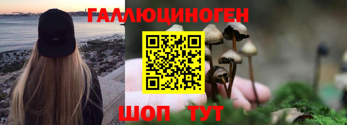 Галлюциногенные грибы GOLDEN TEACHER  Вход с VPN  Уфа 